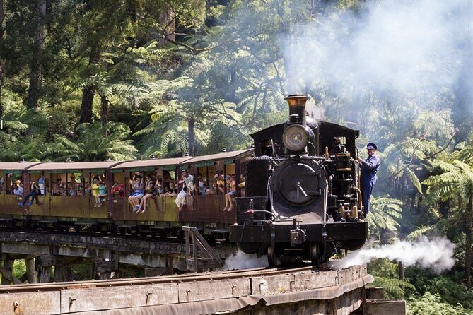 Puffing Billy Train and Phillip Island Penguin Parade Day Tour - A Closer Look at the Itinerary