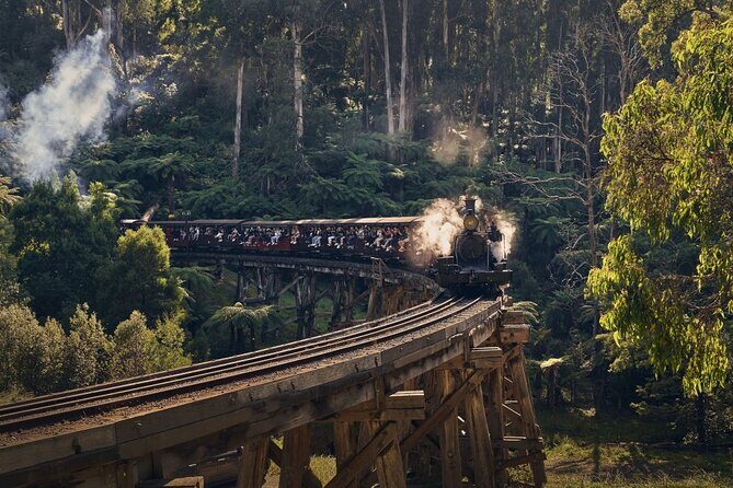 Puffing Billy Train&Healesville Sanctuary&Yarra Valley Wine Tour - Who Will Enjoy This Tour?