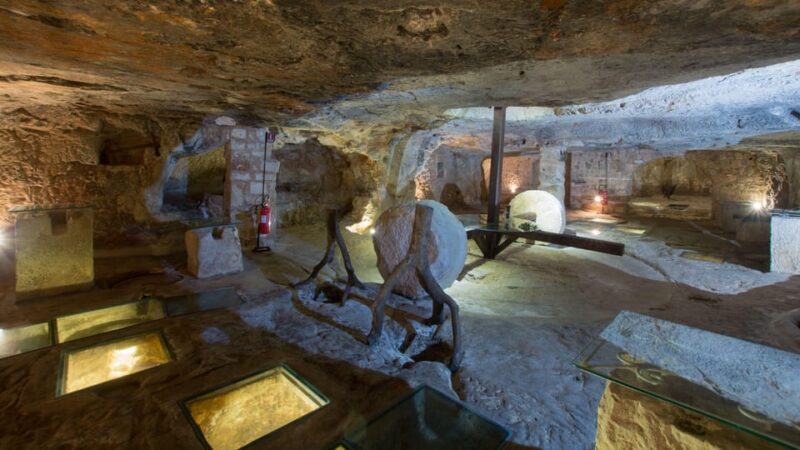 Puglia: Olive Oil Tasting Experience with Olive Grove Walk - Key Points