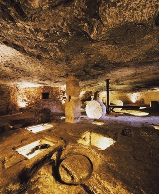 Puglia: Olive Oil Tasting Experience with Olive Grove Walk - The Reviews Speak