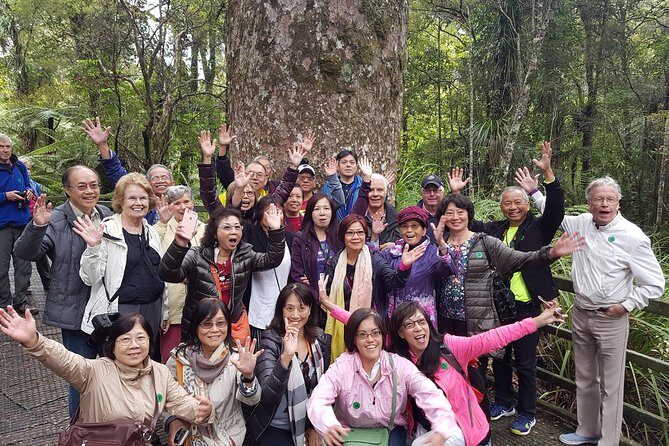 Puketi Rainforest Guided Walks .This is not a Shore Excursion product . - What to Expect from Your Puketi Rainforest Walk