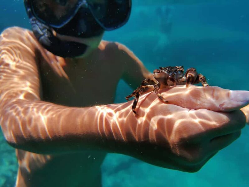 Pula Adventure: Snorkeling Boat Trip & Cliff Jumping - Snorkeling Gear & Comfort