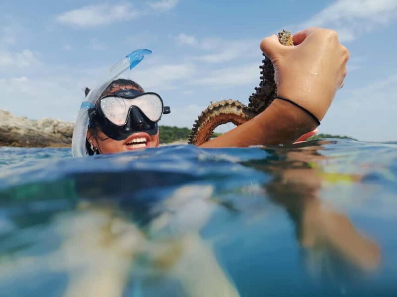 Pula Adventure: Snorkeling Boat Trip & Cliff Jumping - The Sum Up: Who Will Love This Tour?
