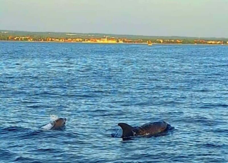 Pula: Boat Tour with Swimming and Snorkeling - Pula: Boat Tour with Swimming and Snorkeling — An Authentic Istrian Coastal Experience