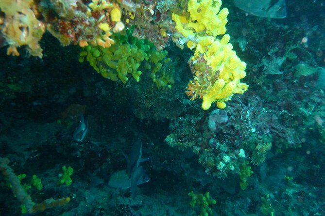 Pula Boat Trip with Snorkeling - Equipment and Comfort