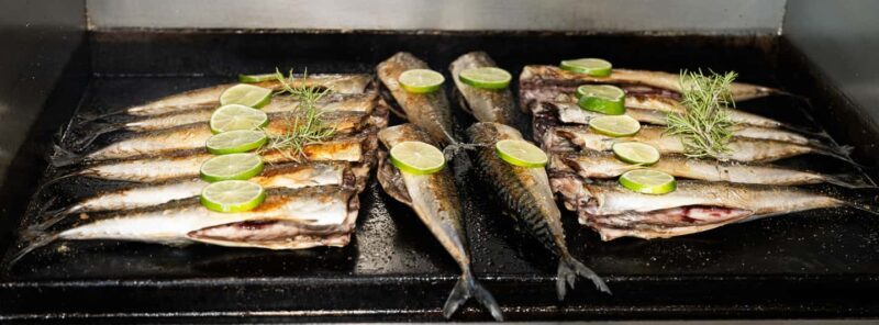 Pula: Brijuni Dolphin Watching cruise with Dinner & Sunset - Key Points