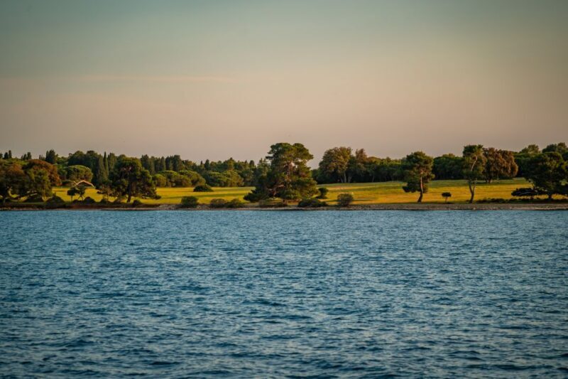 Pula: Brijuni National Park Sunset, Dolphins & Dinner Cruise - The Itinerary: What to Expect on the Cruise