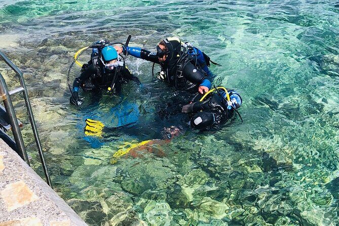 Pula Discover Scuba Diving for KIDS - What to Expect from the Pula Discover Scuba for Kids Tour