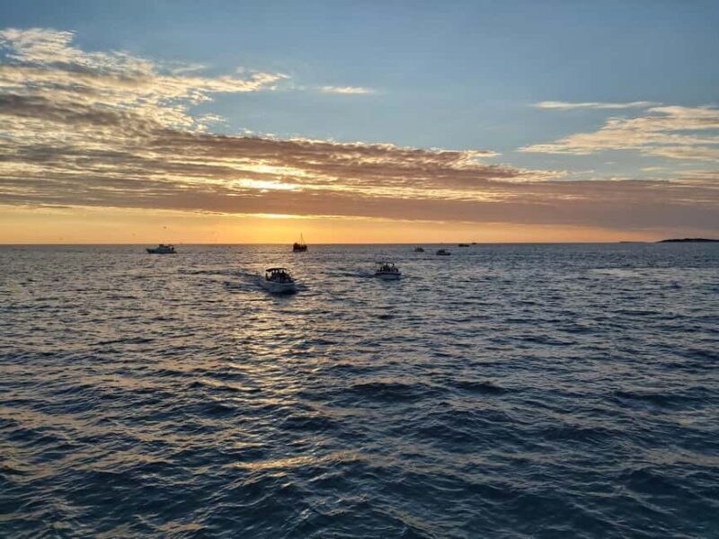 Pula: Dolphin Sunset Cruise to Brijuni with Dinner & Drinks - Key Points