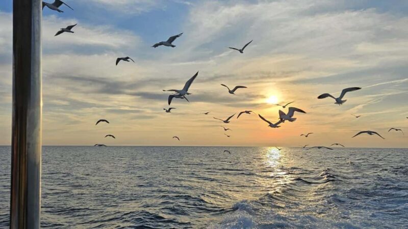 Pula: Dolphin Sunset Cruise to Brijuni with Dinner & Drinks - FAQ