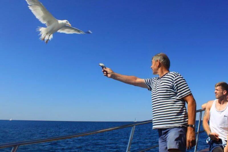Pula: Dolphin Watching Sunset Cruise with Dinner & Drinks - Pula: Dolphin Watching Sunset Cruise with Dinner & Drinks - An Authentic Seaside Experience