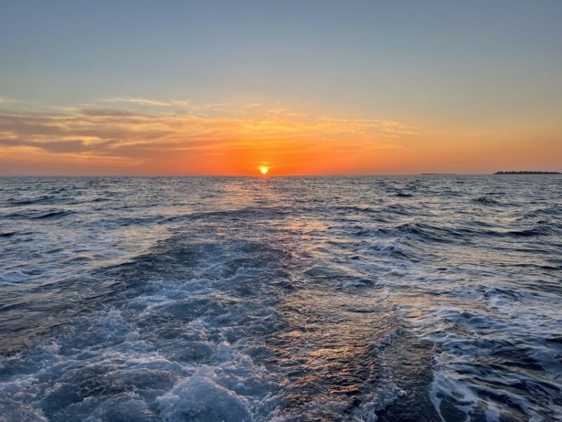 Pula: Dolphin Watching Sunset Cruise with Dinner & Drinks - Frequently Asked Questions (FAQs)