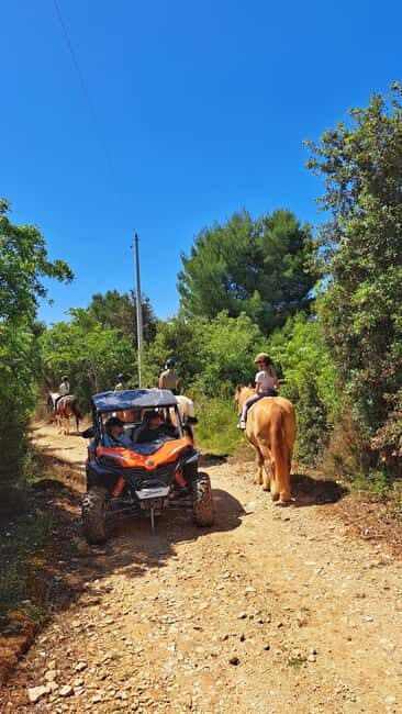 Pula: Family Buggy 4-seater 2.5h Kamenjak Tour & Safari Bar - What to Expect During the Tour