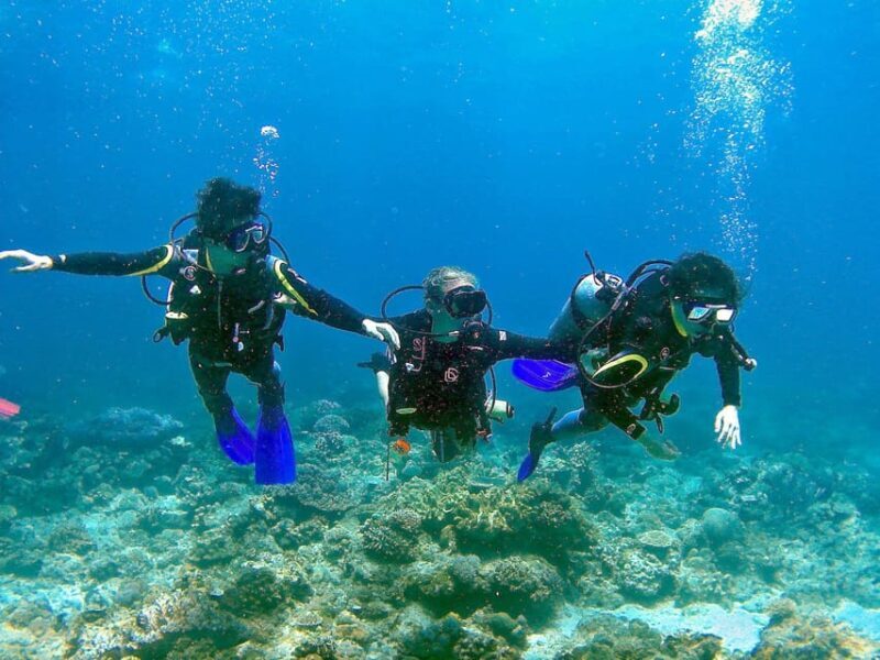 Pula: Introduction to Scuba Diving - A Detailed Look at the Pula Introduction to Scuba Diving Experience