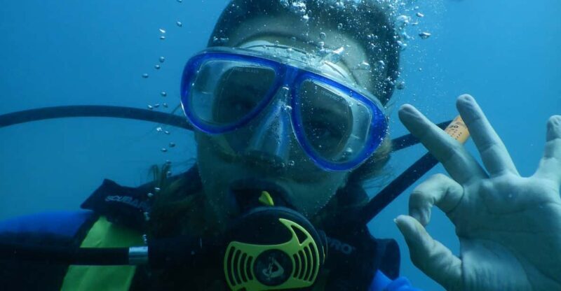 Pula: Introduction to Scuba Diving - Who Should Consider This Tour?