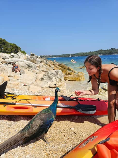 Pula: Kayak Tour to Island St. Jerolim and Kozada - A Detailed Look at the Kayak Tour Experience