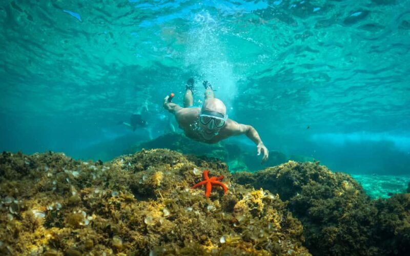 Pula: Kayaking, Snorkeling, Cliff jumping, photos included - The Itinerary Breakdown