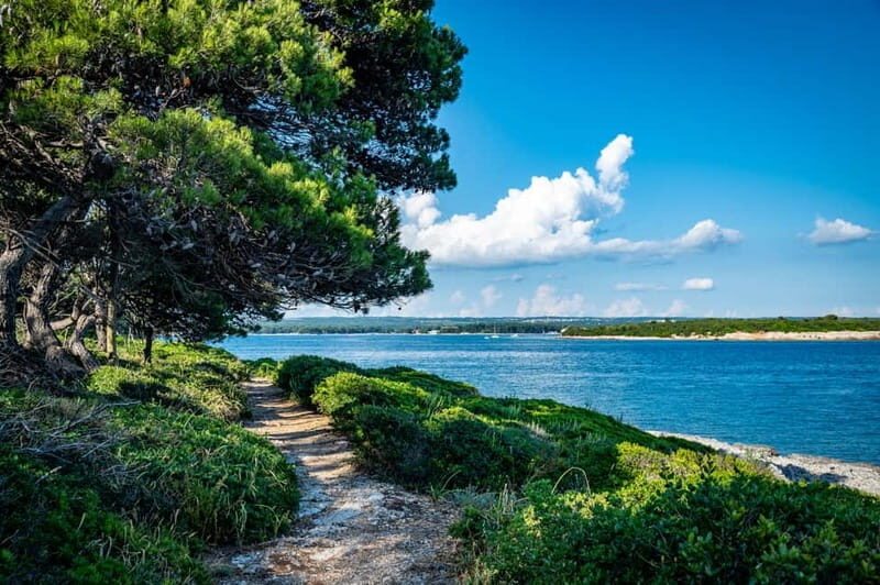 Pula: National Park Brijuni/2 swimming stops/lunch/drinks - Practical Details and Tips