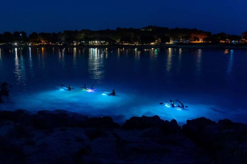 Pula: Night Kayak Tour with Glowing Kayaks - Authentic Insights from Reviewers