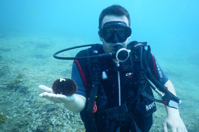 Pula PRIVATE Discover Scuba Diving - An In-Depth Look at the Pula SUP and Snorkeling Tour