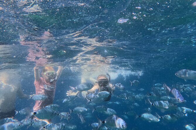 Pula Private Sailing Tour: 4-Hour Customizable Sail, Snorkel, SUP - The Sum Up