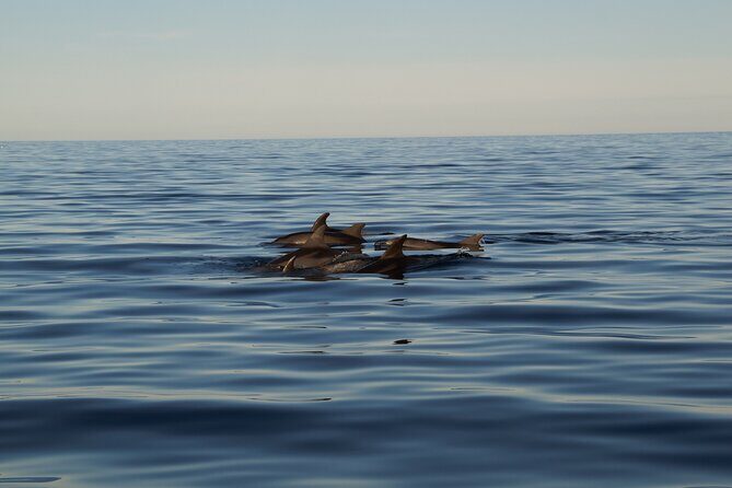 Pula Sunset Cruise: Brijuni Views, Drinks, Romance (Max 6 Guests) - Frequently Asked Questions