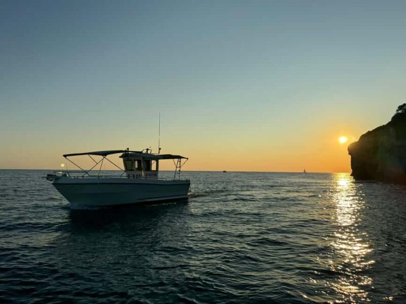 Pula: Sunset Dolphin Watching Boat Tour around N.P Brijuni - Key Points