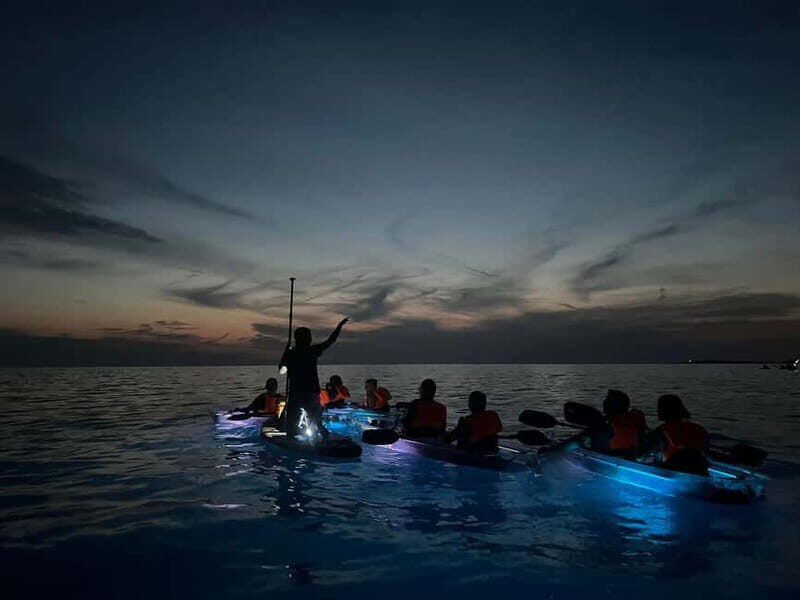Pula: Sunset/Night Illuminated Transparent Kayak Tour - Authentic Experiences & Review Highlights