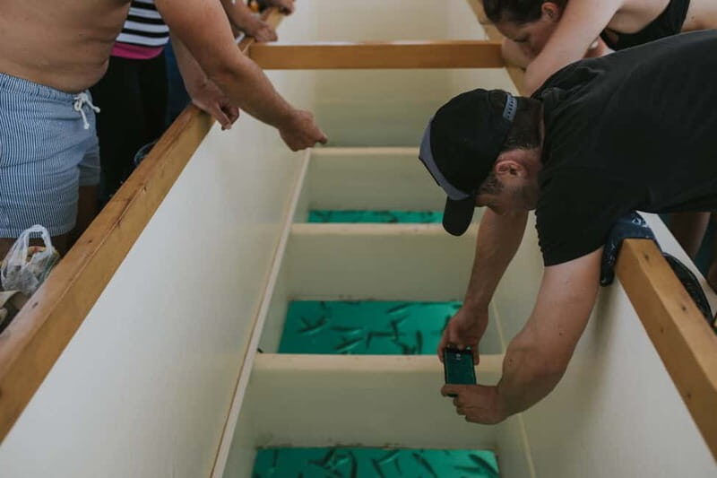 Pula Verudela: Glass-Bottom Boat and Swim with Fish Tour - An Authentic and Accessible Croatian Sea Adventure