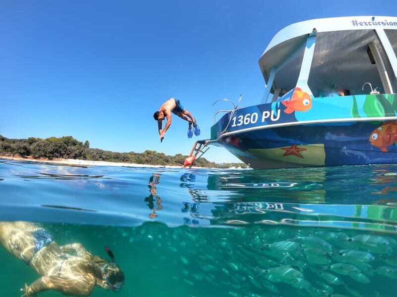 Pula Verudela: Glass-Bottom Boat and Swim with Fish Tour - The Itinerary: What to Expect
