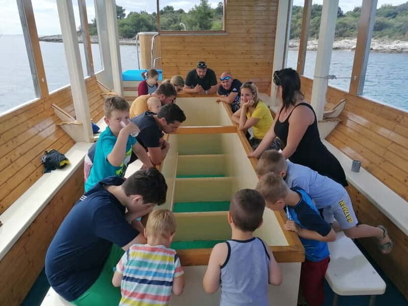 Pula Verudela: Glass-Bottom Boat and Swim with Fish Tour - The Experience’s Pros and Cons