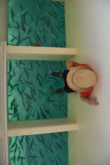 Pula Verudela: Glass-Bottom Boat and Swim with Fish Tour - Who Will Love This Tour?