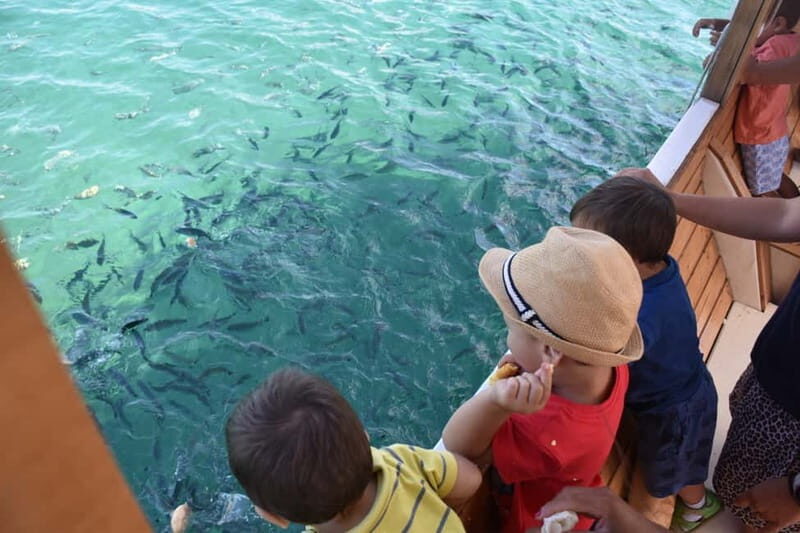 Pula Verudela: Glass-Bottom Boat and Swim with Fish Tour - FAQ