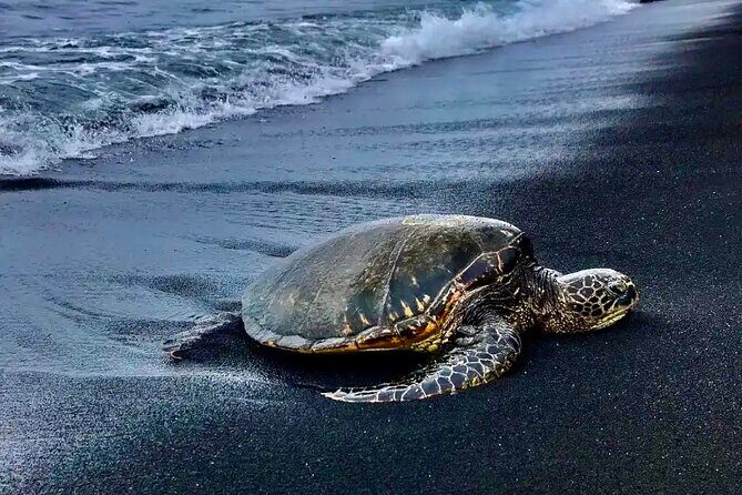 Punaluu Black Sand Beach Tour - Volcanoes National Park & Hilo - The Itinerary: What’s Included and Why It Matters