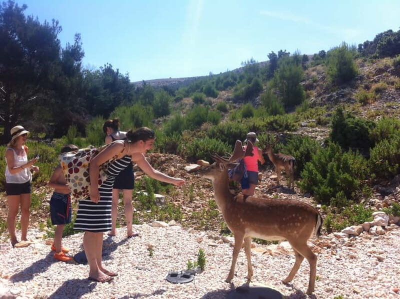 Punat: Grgur, Goli, Rab, and Krk Island Boat Trip with Lunch - Who Should Consider This Tour?