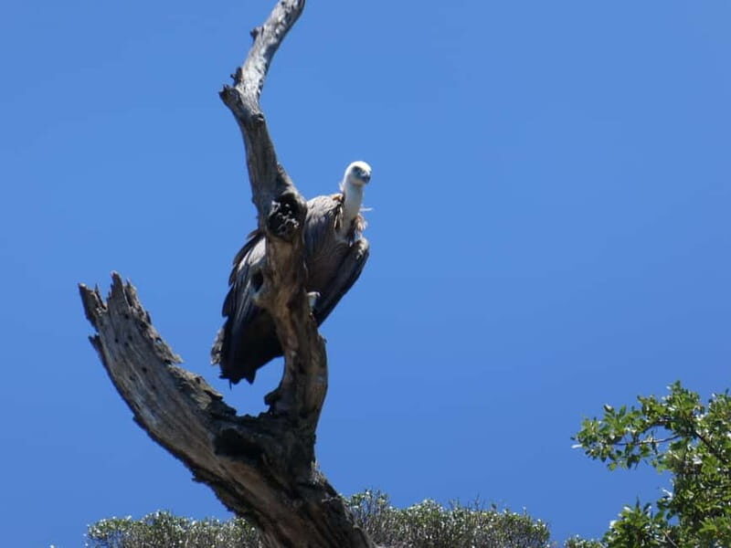 Punat: Stara Baka Wild Bays Private trip - FAQ