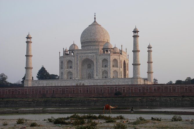 Pune to Taj Mahal and Agra Same Day Tour with Return Flights - Authentic Reviews and Real Experiences