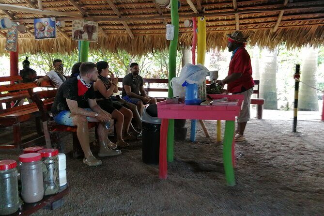 Punta Cana Adventure: Offroad 4x4 ATV - Cave and Macao Beach Dip - Who Is This Tour Best For?