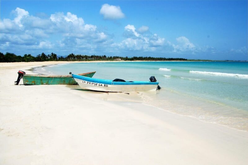 Punta Cana: Saona Island Full-Day Open Bar, Lunch & Transfer - The Sum Up