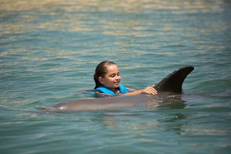 Punta Cancun: Swim with dolphins Harmony - Key Points