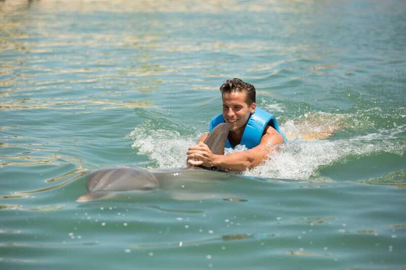 Punta Cancun: Swim with dolphins Interax - The Practicalities