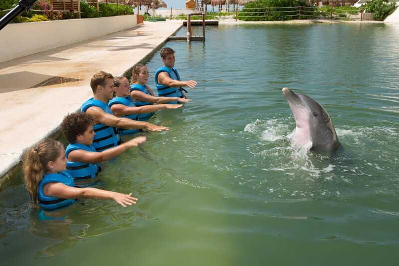 Punta Cancun: Swim with dolphins Interax - Who Will Love This Experience?