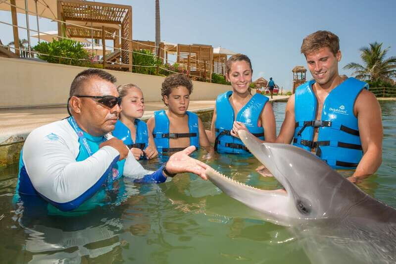 Punta Cancun: Swim with dolphins Primax - An In-Depth Look at the Punta Cancun Primax Dolphin Tour