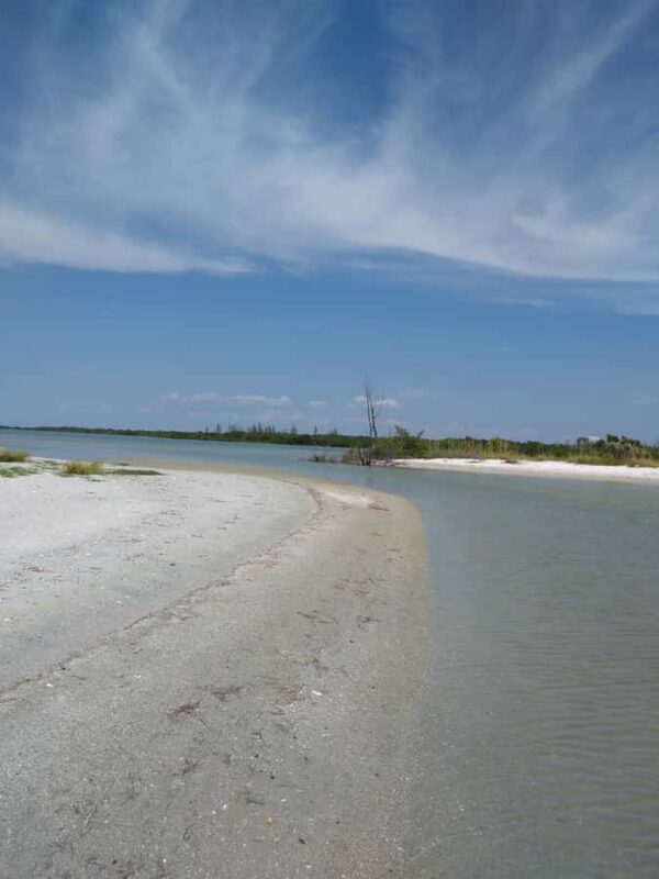 Punta Gorda /Boca Grande: Barrier Island Shelling Boat Tour - An Authentic Day on the Barrier Islands