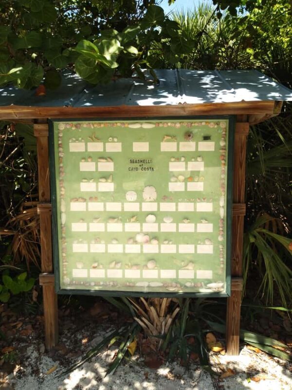 Punta Gorda /Boca Grande: Barrier Island Shelling Boat Tour - The Experience Guides and Reviews