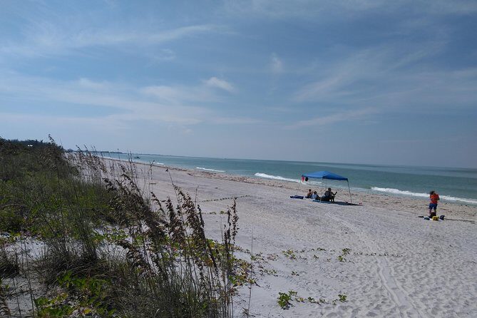 Punta Gorda /Boca Grande Four Hour Beach Day/ Cayo Costa Beach - Key Points