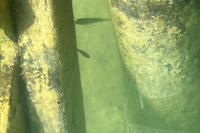 Punta Laguna Adventure with Mayan Ceremony - Analyzing the Value