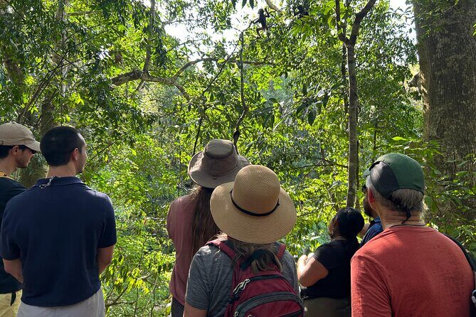 Punta Laguna Tour: Spider Monkey Reserve, cenote, canoe - A Final Word