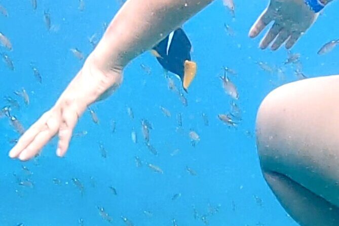 Punta Mita Fishing Experience and Snorquel at Secluded Reefs - Lunch and Comfort