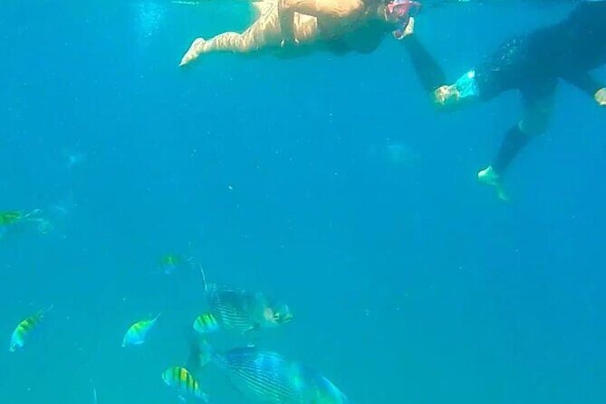 Punta Mita Fishing Experience and Snorquel at Secluded Reefs - Who Will Love This Tour?